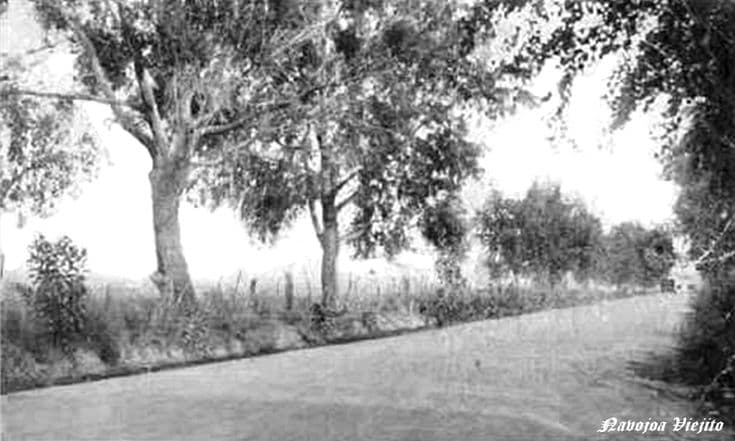 Camino carretera en Navojoa Sonora Mexico